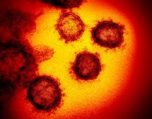 coronavirus-visao-microscopio