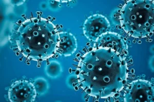 coronavirus