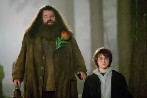 hagrid-harrypotter