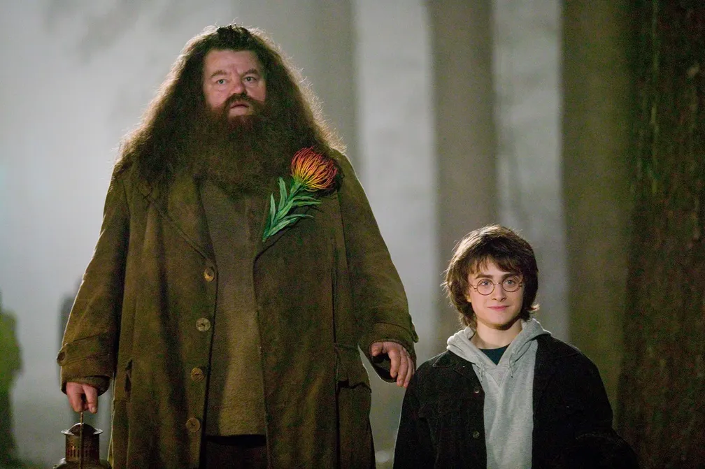 hagrid-harrypotter