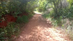 estradas-de-carnaiba