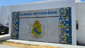 vet