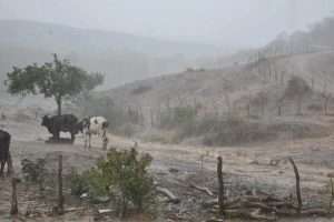 chuva_sertao_3-844698