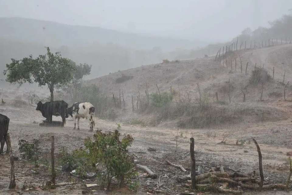 chuva_sertao_3-844698
