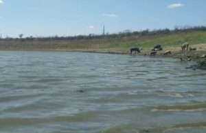 acude_do_barra-919232